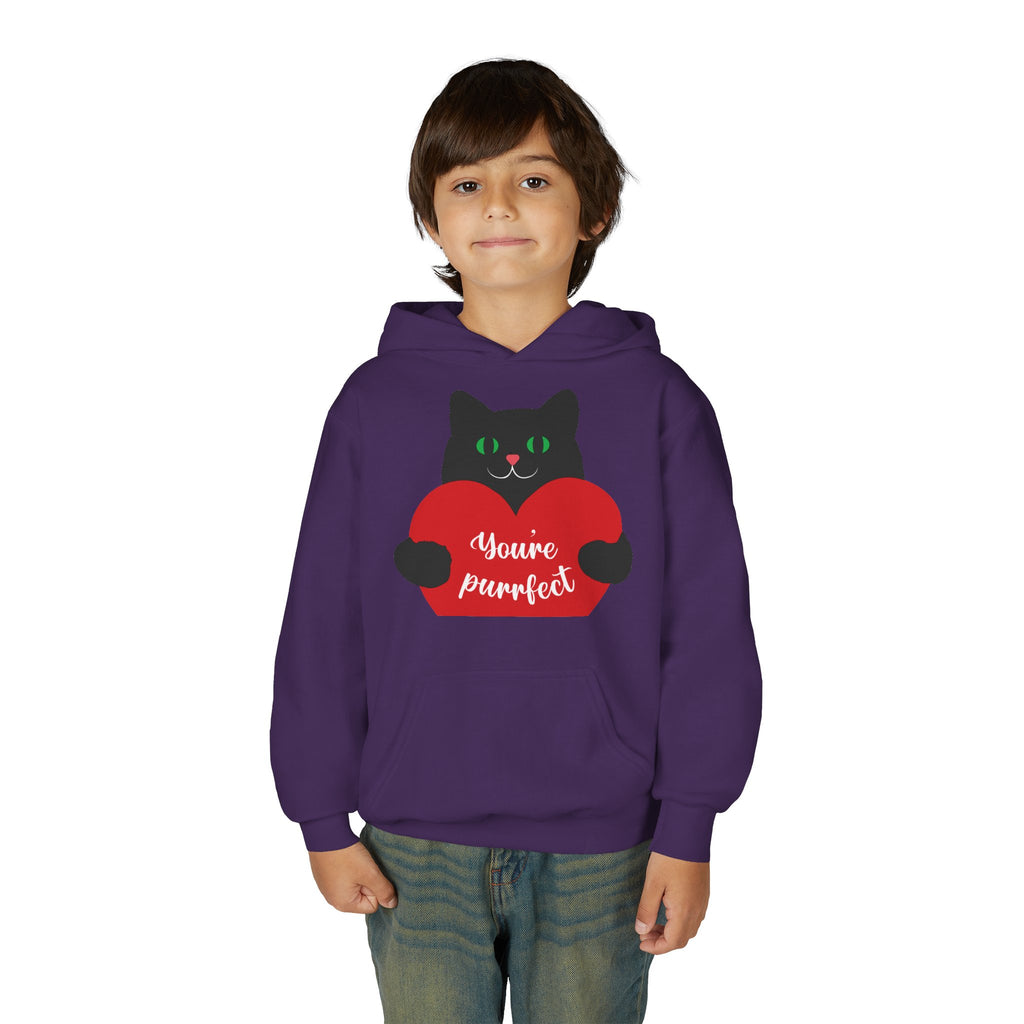 Youth Hoodie - Cute Black Cat "You’re Purrfect" Heart & Patriotic LOVE Design