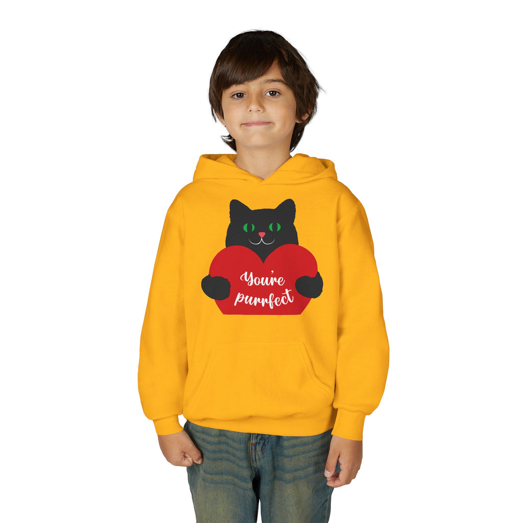 Youth Hoodie - Cute Black Cat "You’re Purrfect" Heart & Patriotic LOVE Design