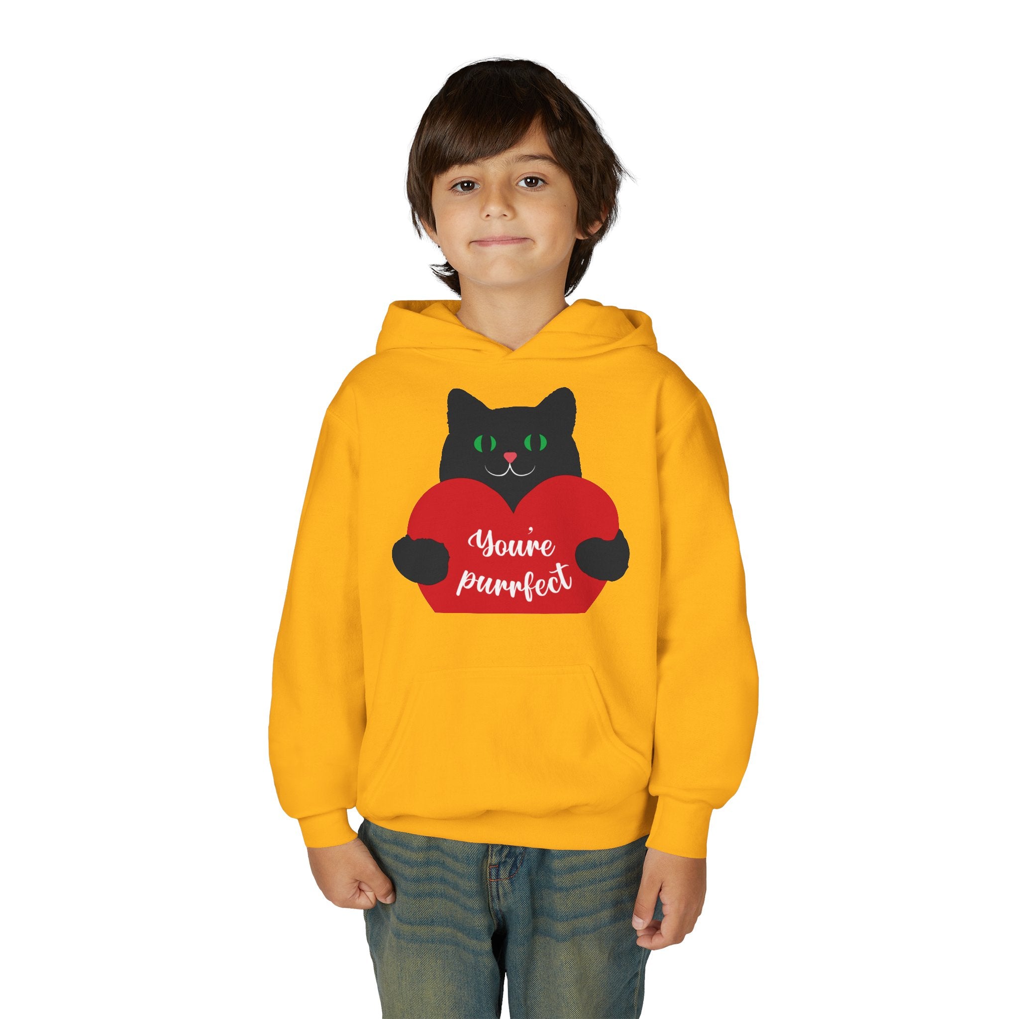 Youth Hoodie - Cute Black Cat "You’re Purrfect" Heart & Patriotic LOVE Design