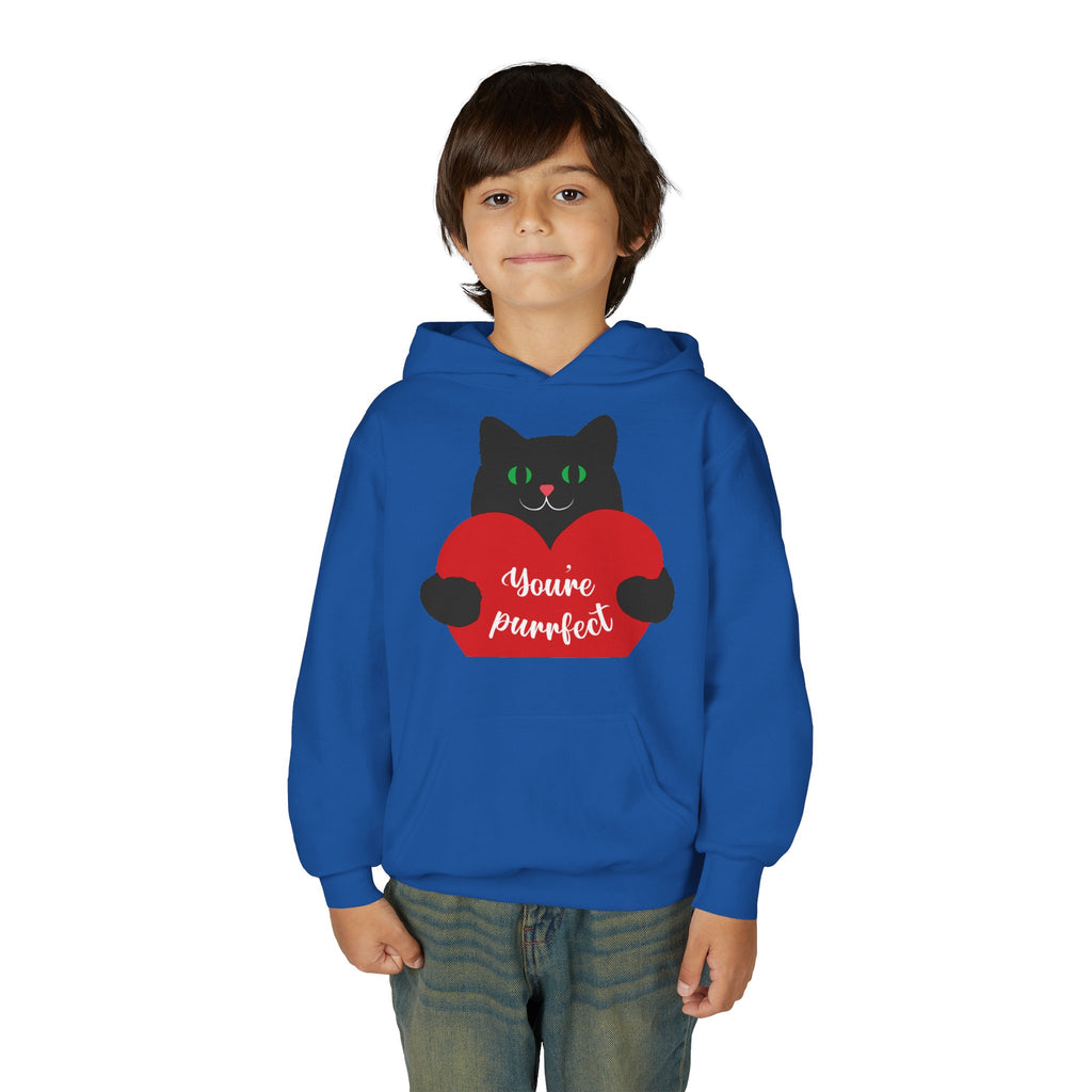 Youth Hoodie - Cute Black Cat "You’re Purrfect" Heart & Patriotic LOVE Design