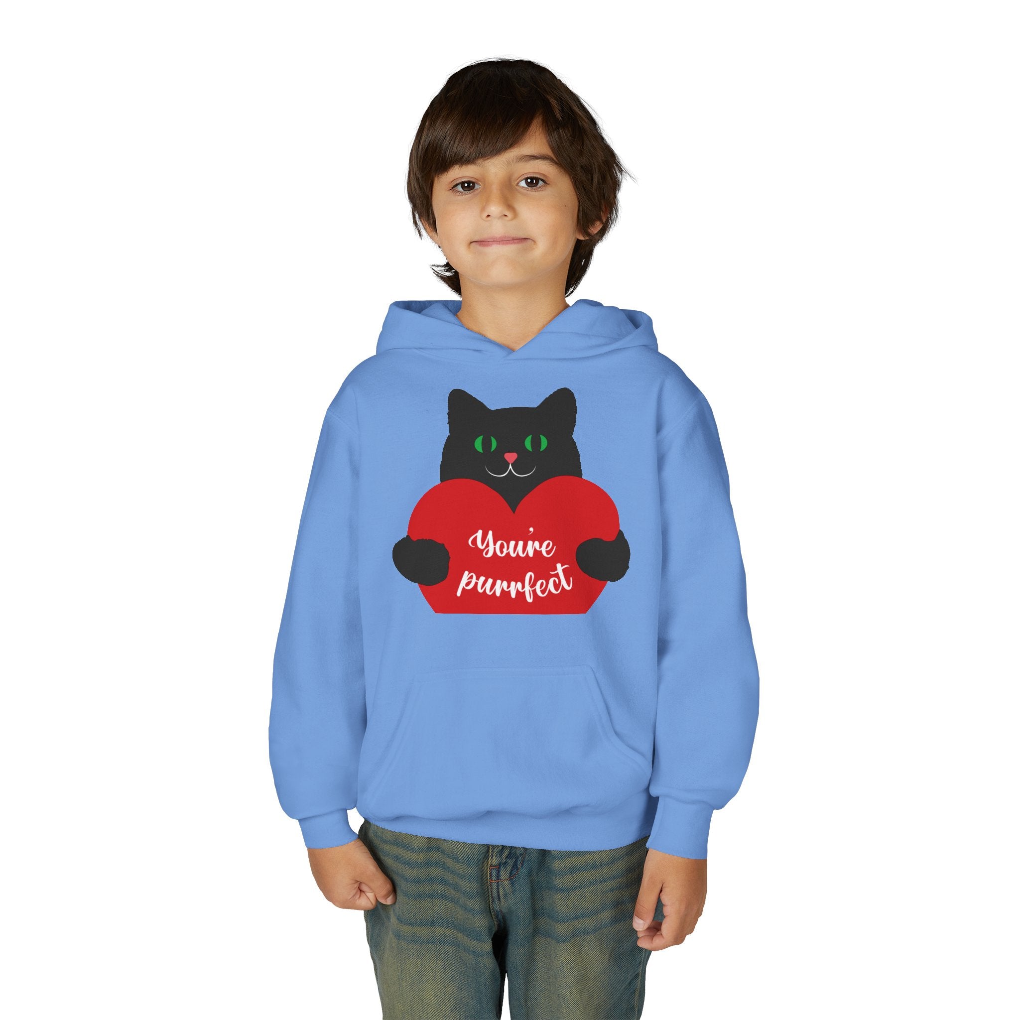 Youth Hoodie - Cute Black Cat "You’re Purrfect" Heart & Patriotic LOVE Design