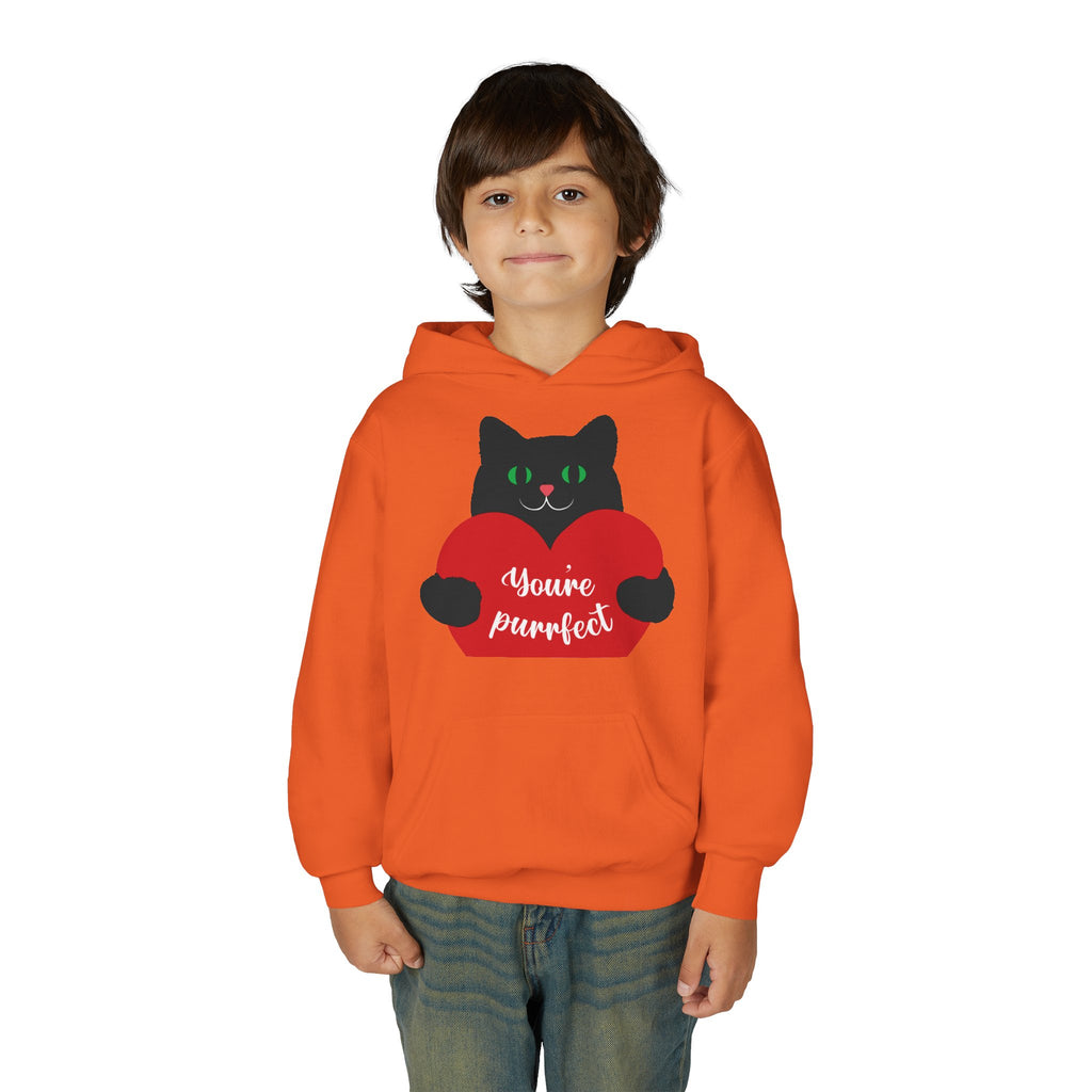 Youth Hoodie - Cute Black Cat "You’re Purrfect" Heart & Patriotic LOVE Design